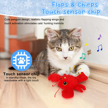 Charger l'image dans la galerie, Jouet électrique pour chat IOKHEIRA, avec de vrais sons et de l'herbe à chat de qualité supérieure, favorise la santé bucco-dentaire et la stimulation mentale et physique, design unique en forme de homard pour un plaisir félin sans fin