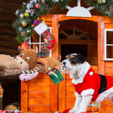 Load image into Gallery viewer, IOKHEIRA Christmas Deer Dog Squeaky Toys Dog Chew Toy Interactive Plush Dog Toys with Crinkle Paper Tug of War Dog Toys with Knotted Rope for Teeth Cleaning & Boredom