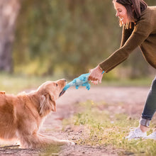 Load image into Gallery viewer, IOKHEIRA Dog Plush Toys, Stuffed Dog Toy for Small Medium Breed, Cute Dinosaur Squeaky Dog Toys Dog Chew Toys for Large Dogs (Indigo)