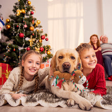 Load image into Gallery viewer, IOKHEIRA Christmas Deer Dog Squeaky Toys Dog Chew Toy Interactive Plush Dog Toys with Crinkle Paper Tug of War Dog Toys with Knotted Rope for Teeth Cleaning & Boredom