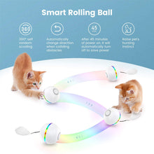Load image into Gallery viewer, IOKHEIRA Cat Ball Interactive Cat Toys for Indoor Cats