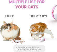 Load image into Gallery viewer, IOKHEIRA Interactive Cat Toys Ball (3rd Gen) Wicked Ball for Indoor Cats
