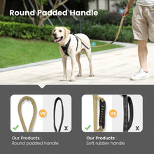 Load image into Gallery viewer, IOKHEIRA 4-6 FT Strong Bungee Dog Leash Army Green