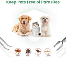 Load image into Gallery viewer, 1Iokheira-2in1TickRemoverToolSet