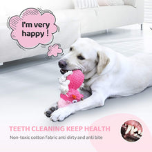 Load image into Gallery viewer, IOKHEIRA Dog Plush Toys,Squeaky Dog Toys (Pink)