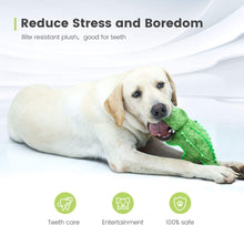 Load image into Gallery viewer, IOKHEIRA Squeaky Plush Dog Toy for Dogs
