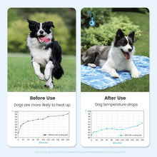 Load image into Gallery viewer, IOKHEIRA Dog Cooling Mat, Pet Cooling Mat
