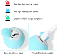 Load image into Gallery viewer, IOKHEIRA Cat Ball Interactive Cat Toys for Indoor Cats Wicked Ball Kitten Toys with Bell Feather Built-in Catnip, USB Rechargeable Automatic 360° Rotating Cat Toy balls with LED Light
