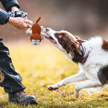 Load image into Gallery viewer, IOKHEIRA Dog Plush Toy for Large Chewers Dog Squeaky Toys Stuffed Animals Toys with Cotton Material and Crinkle Paper Soft Chewing Toys