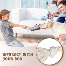 Load image into Gallery viewer, IPORLEER Dog Squeaky Toys, Dog Plush Toy for Large Breed, Cute Ratel Durable Stuffed Dog Toys with Crinkle Paper, Dog Chew Toys for Small, Middle & Large Dogs