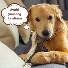 Load image into Gallery viewer, IOKHEIRA Dog Plush Toys for Aggressive Chewers, Indestructible Dog Squeaky Toys with Crinkle Paper, Durable Teething Chew Toys for Medium and Large Breed